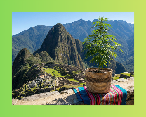 Peru Kenevir Düzenlemeleri